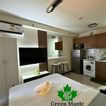 Green Maple Haven - Saekyung Village 1 Phase 3, Marigondon Lapulapu City